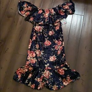 NWT Rose velvet dress